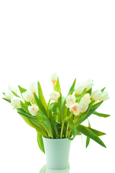 Beautiful tulips in pot — Stock Photo, Image