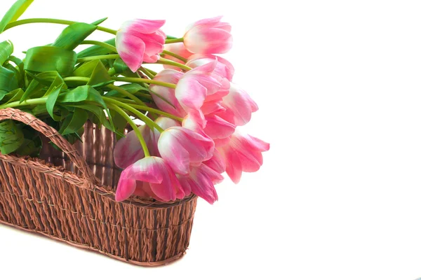 Beautiful pink tulips in basket — Stock Photo, Image