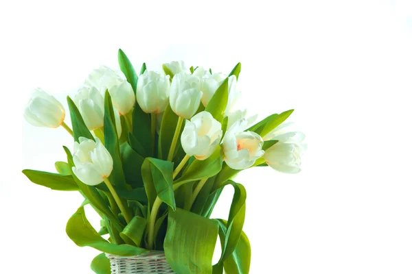 Hermosos tulipanes en cesta —  Fotos de Stock