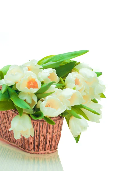 Krásné tulipány v košíku — Stock fotografie
