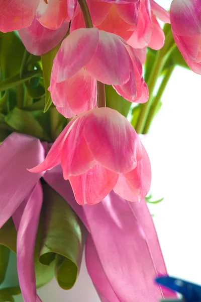 Gyönyörű rózsaszín tulipánok — Stock Fotó