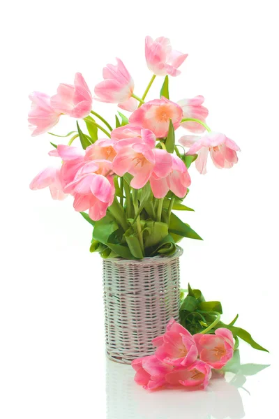 Beautiful tulips in basket — Stock Photo, Image