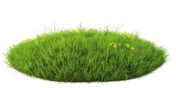 Natural grass arena — Stock Photo, Image