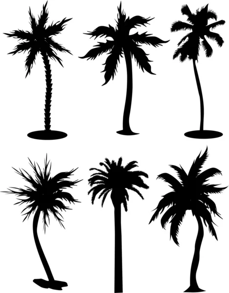 Uppsättning av palm tree — Stock vektor