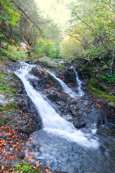 su sonbahar sonbahar sezonu fagaras Dağları '