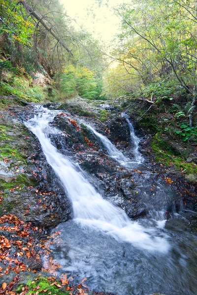 Queda de água na estação de outono localizada nas montanhas de Fagaras Imagem De Stock