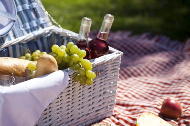 piknik zamanı!