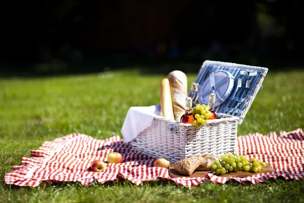 Picknick tijd! — Stockfoto