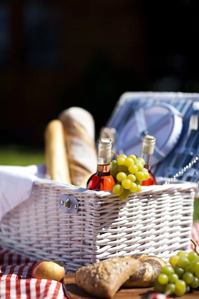 Hora del picnic ! — Foto de Stock