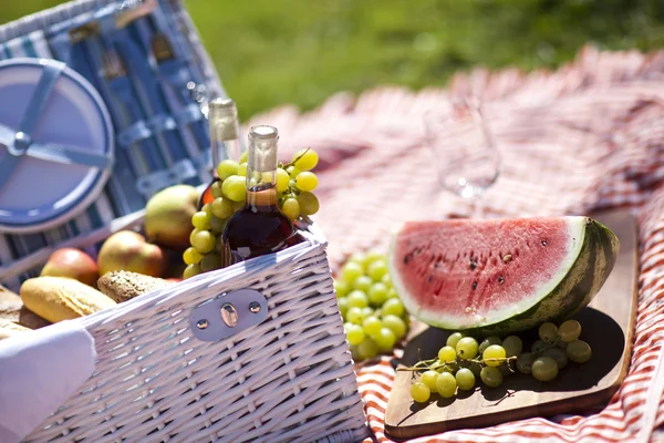 Hora del picnic ! — Foto de Stock