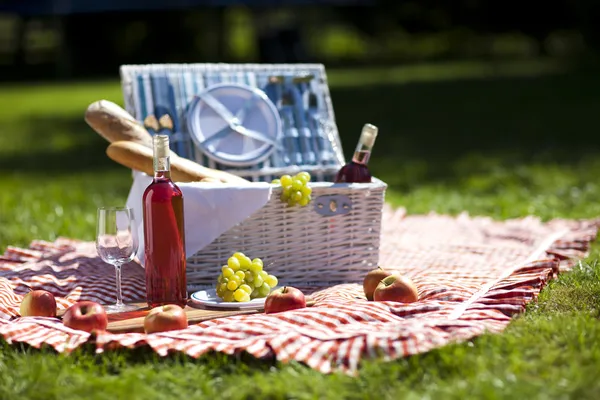 Picknick tijd! — Stockfoto