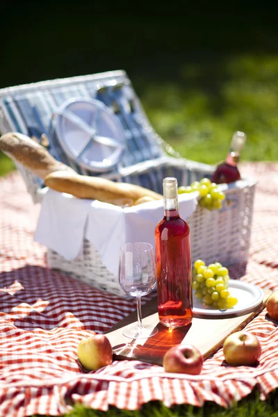 Picknick tid! — Stockfoto