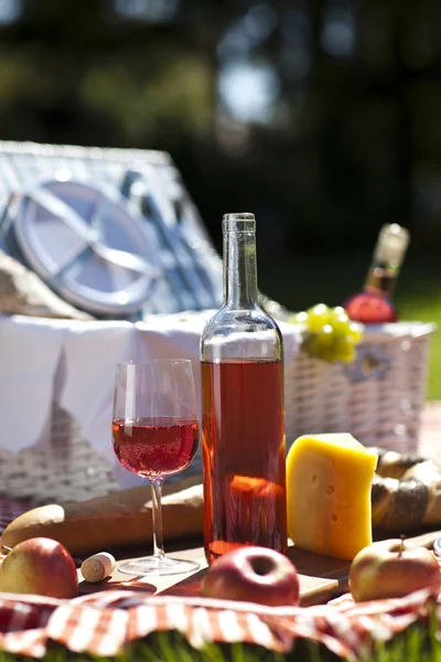 Picknick tid! — Stockfoto