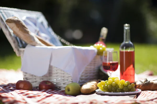 Picknick tijd! — Stockfoto