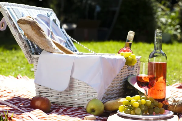 Picknick tijd! — Stockfoto