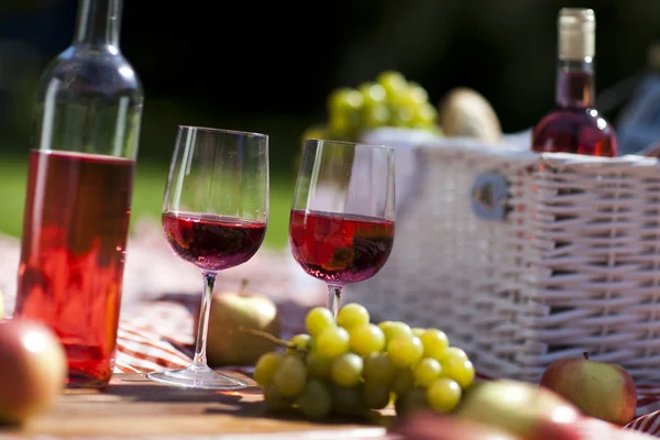 Hora del picnic ! — Foto de Stock