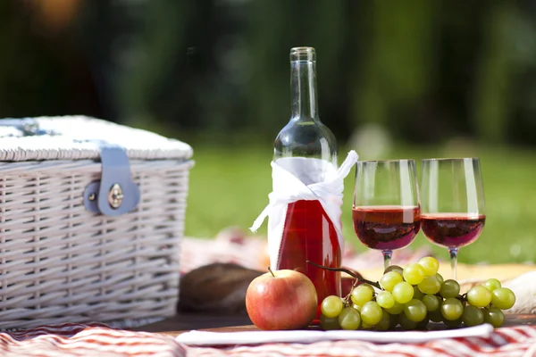 Picknick tid! — Stockfoto