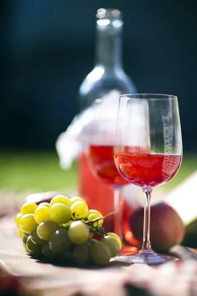 Picnic Time! — Stock Photo, Image