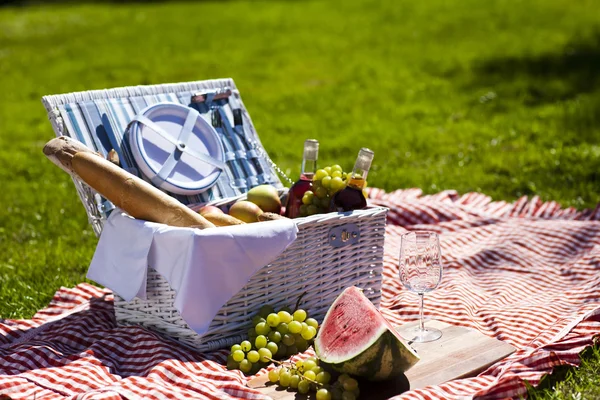 Tempo di picnic ! — Foto Stock