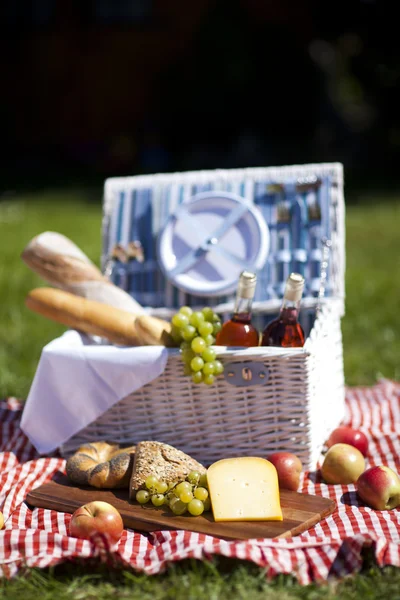 Picknick tijd! — Stockfoto