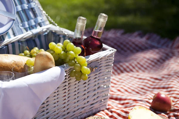 Tempo di picnic ! — Foto Stock