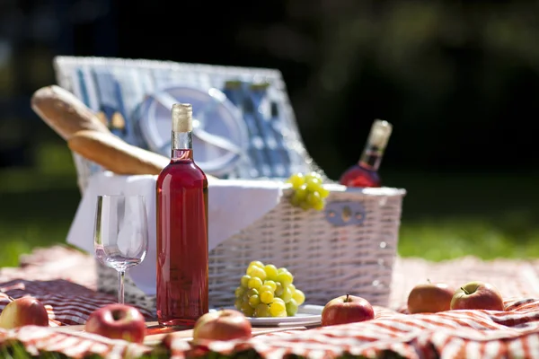 Hora del picnic ! —  Fotos de Stock