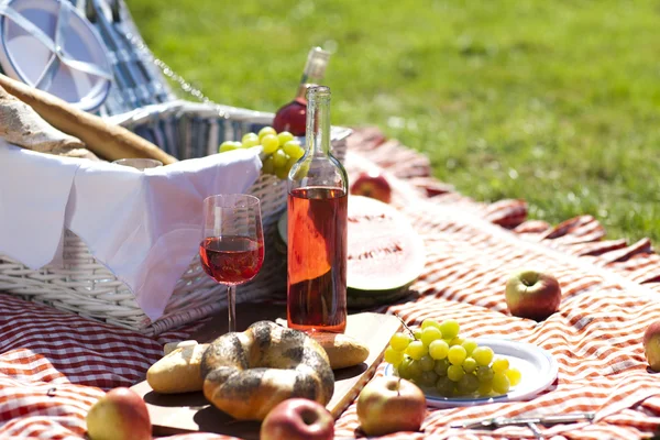 Picknick tid! — Stockfoto