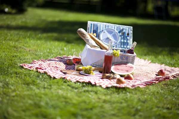Hora del picnic ! — Foto de Stock