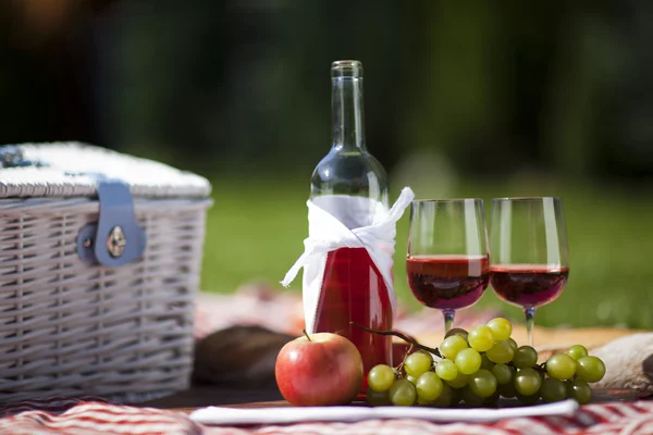 Picknick tid! — Stockfoto