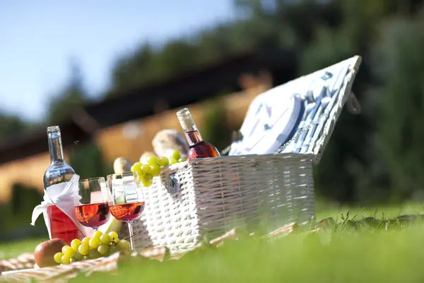 Picnic Time! — Stock Photo, Image