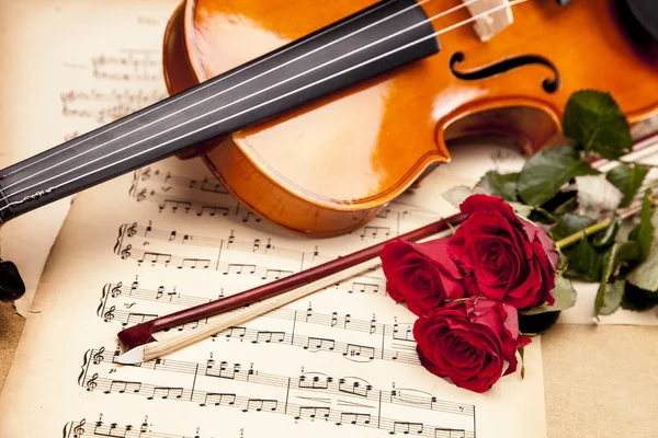 Beautiful roses and violin! — Stock Photo, Image