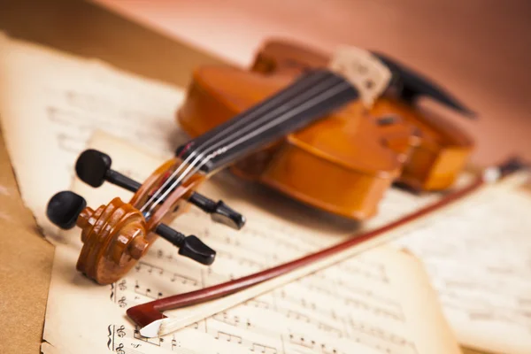 Lindas rosas e violino ! — Fotografia de Stock