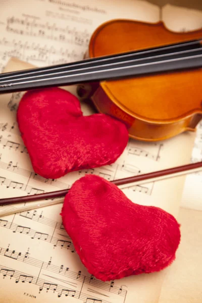 Vackra rosor och violin! — Stockfoto