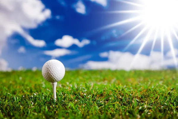 Lets play a round of golf! — Zdjęcie stockowe