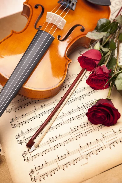 Beautiful roses and violin! — Stock Photo, Image