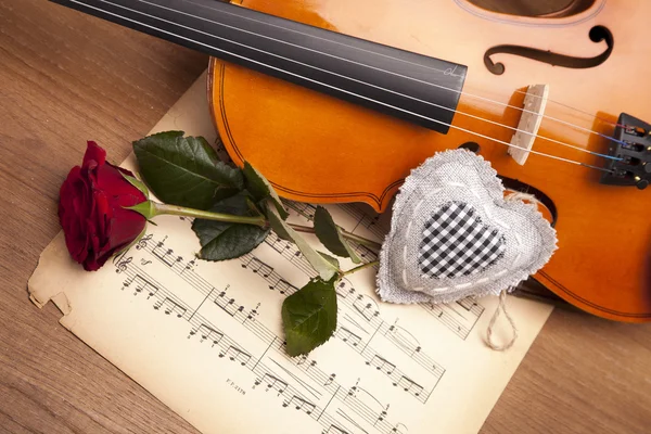 Krásné růže a housle! — Stock fotografie