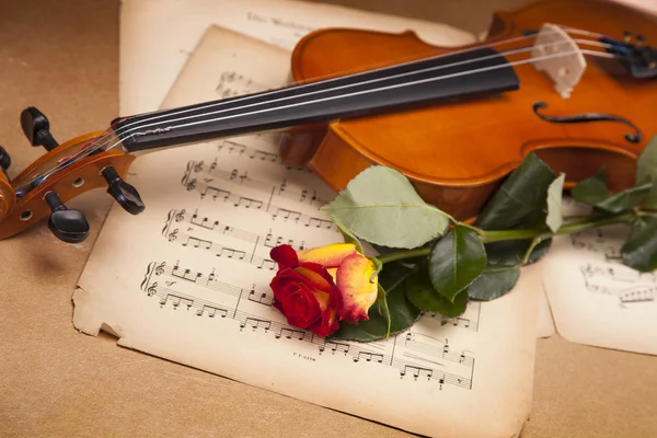 Beautiful roses and violin! — Zdjęcie stockowe