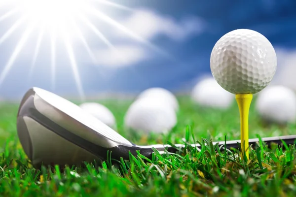 Consente di giocare a golf ! — Foto Stock