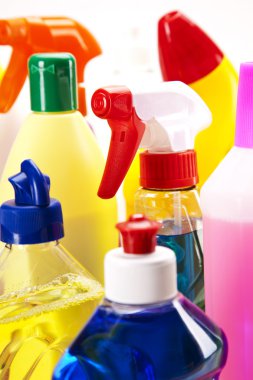 temizlik maddeleri ayarlayın