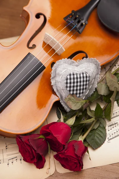 Beautiful roses and violin! — Stock Photo, Image