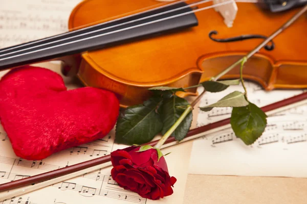 Belle rose e violino ! — Foto Stock