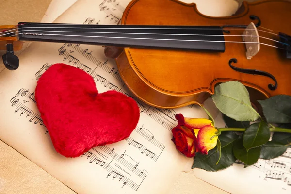 Krásné růže a housle! — Stock fotografie