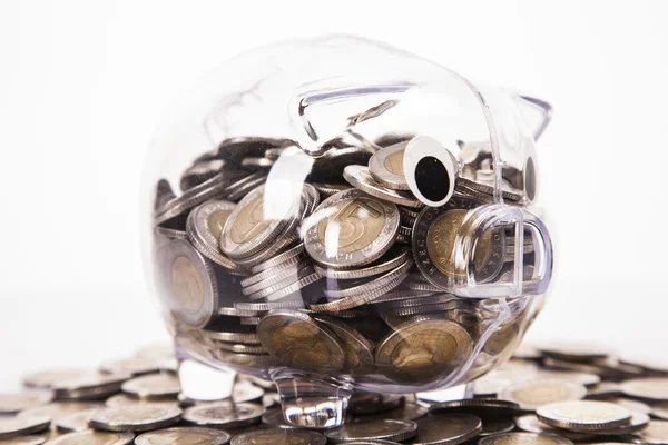 Besparingen in piggy bank! een heleboel geld! — Stockfoto