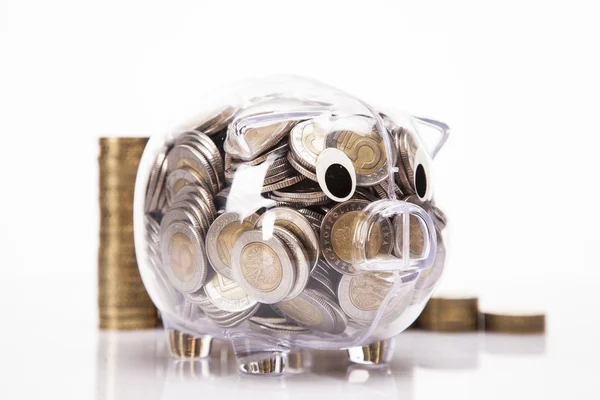 Savings in piggy bank! A lot of money! — Stock Photo, Image