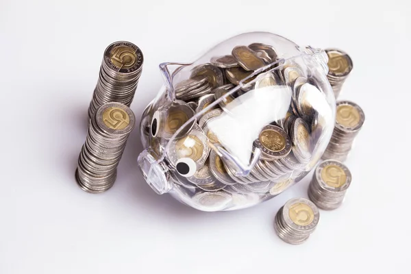 Savings in piggy bank! A lot of money! — Stock Photo, Image