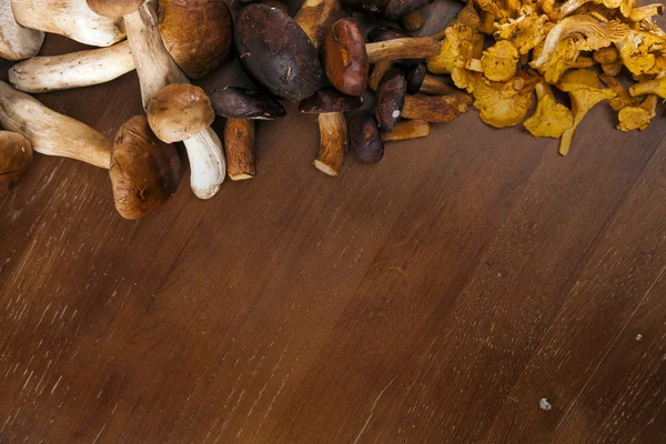 Cogumelos frescos — Fotografia de Stock