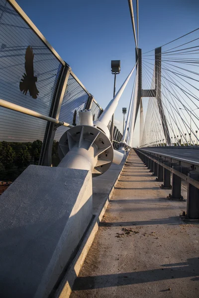Halat köprü gün batımında güzel fotoğraf — Stok fotoğraf