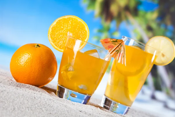 Bevande tropicali sulla spiaggia — Foto Stock