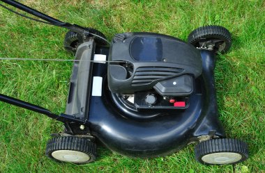 Çim biçme makinesi