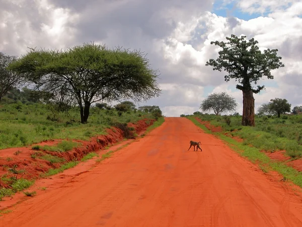 Tsavo Doğu Ulusal Parkı